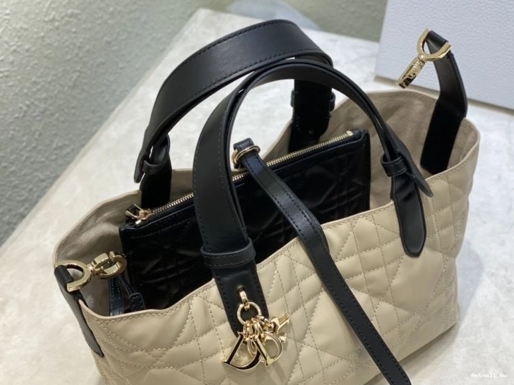 Christian Shopping NewStyle Dior Bags 66600 0712
